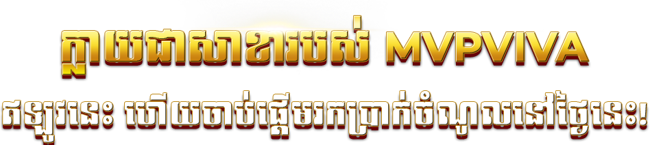 MVPVIVA CONTACT